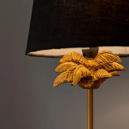 Sara's Paradise 코라레호