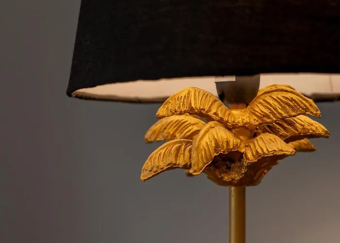 Sara's Paradise 科拉雷侯